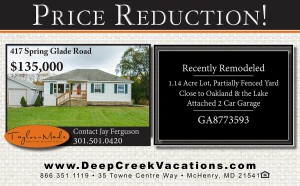 417 Spring Glade Road Price Reduction Social Media (2)