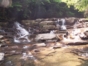 potomac state park