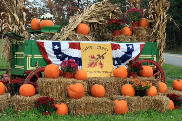 50th year of Autumn Glory Festival begins next week